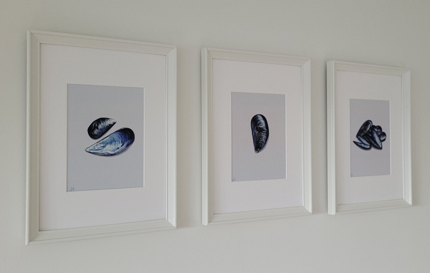 Mussels - The trio