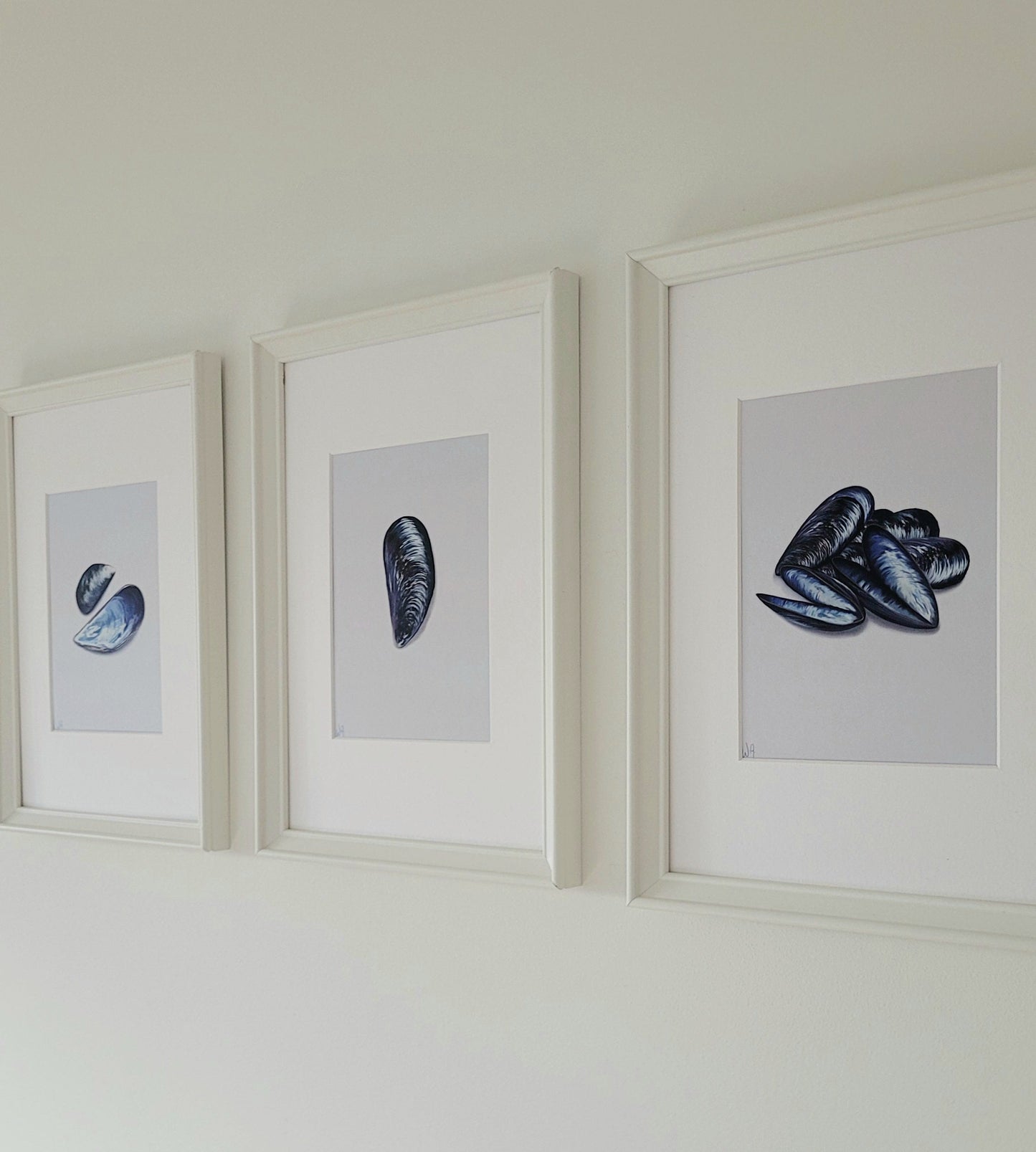 Mussels - The trio