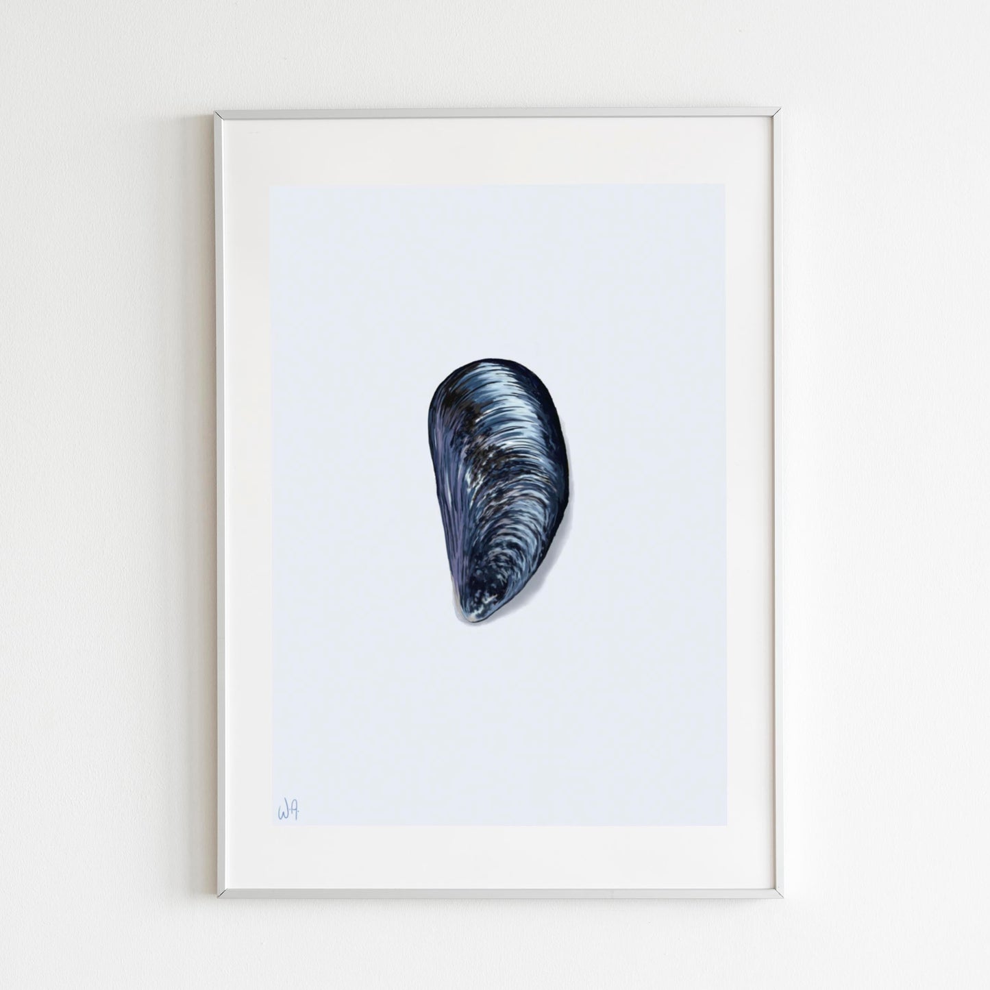 Framed artwork of a mussel shell on a white background