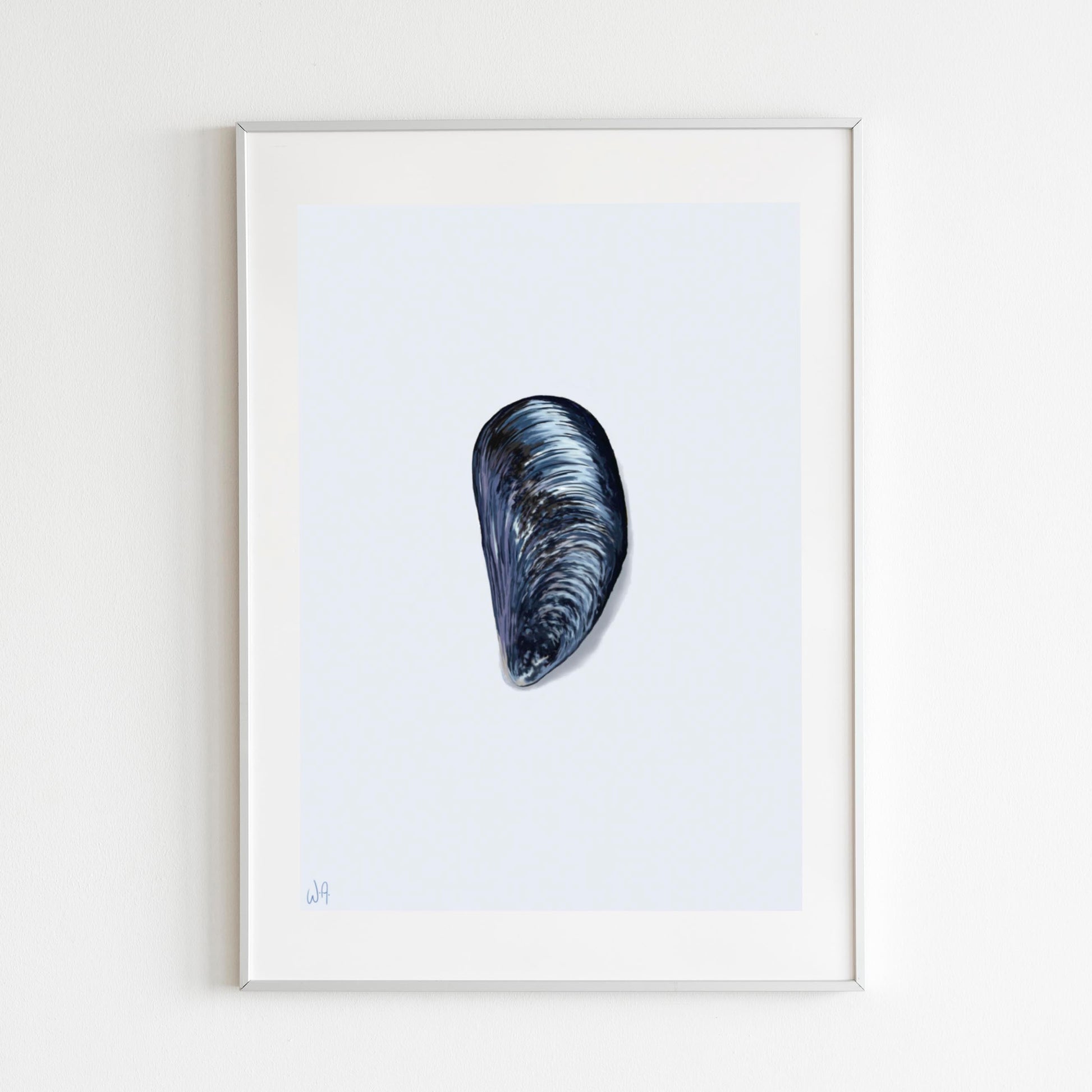 Framed artwork of a mussel shell on a white background