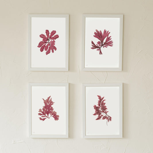 - Ocean Flora - Set of 4 gallery wall